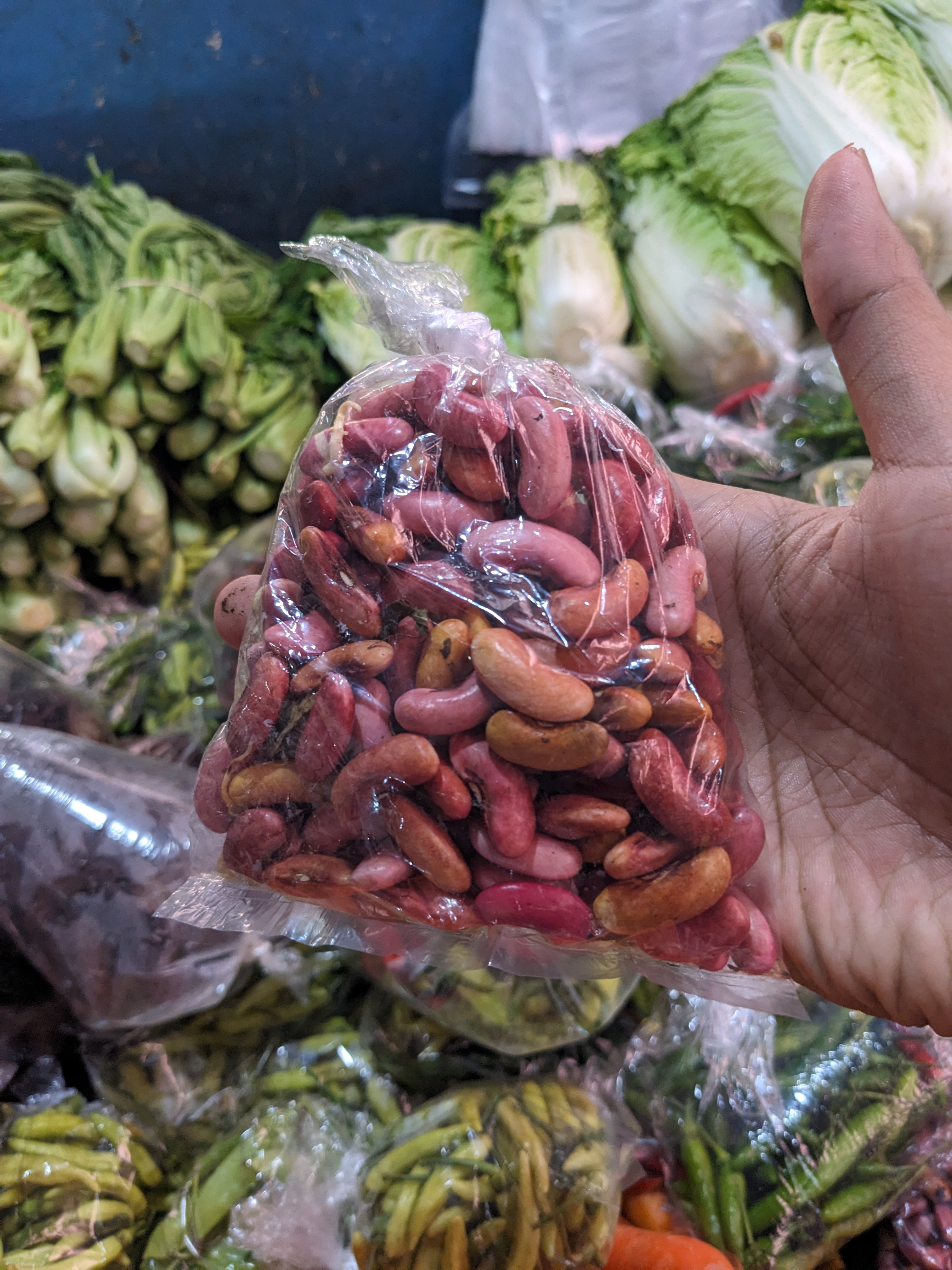 KACANG MERAH