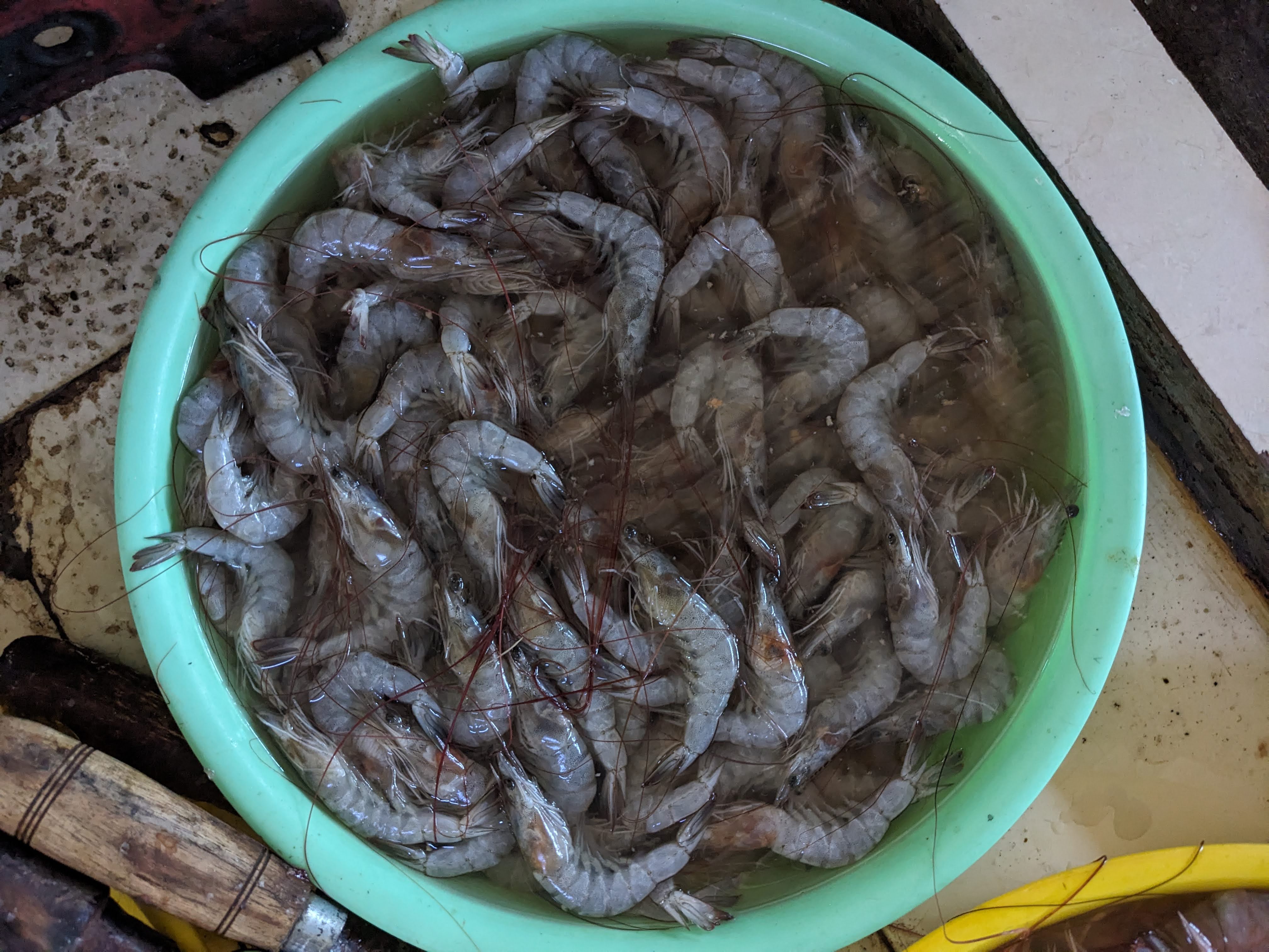 UDANG